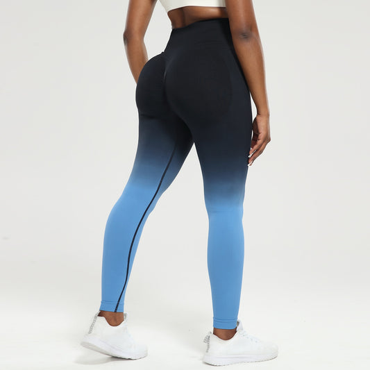 Chromatic Bliss Seamless Leggings